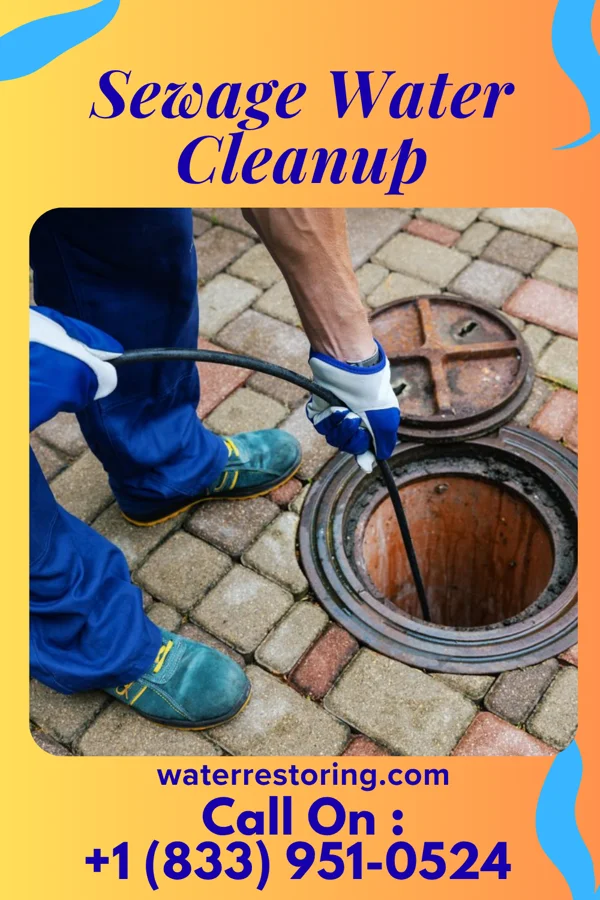 Sewage Water Cleanup in Hollis, OK